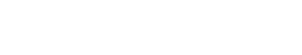 Szeroki wybór biletów autokarowych online - Sprawdź naszą ofertę!